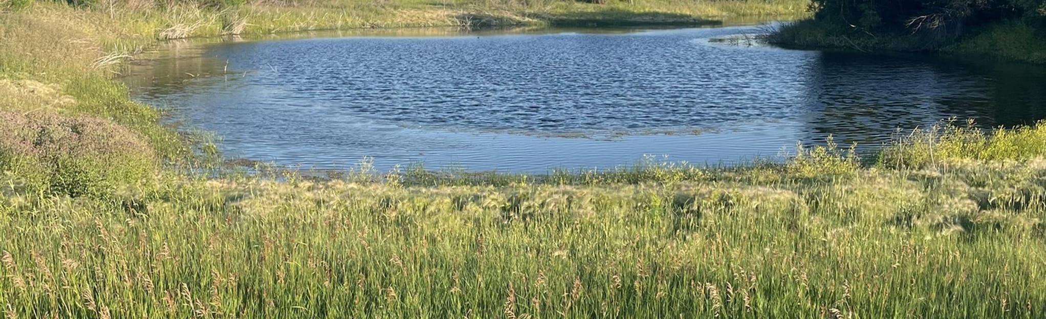 Buffalo Gap Campground Loop 19 Reviews, Map North Dakota AllTrails