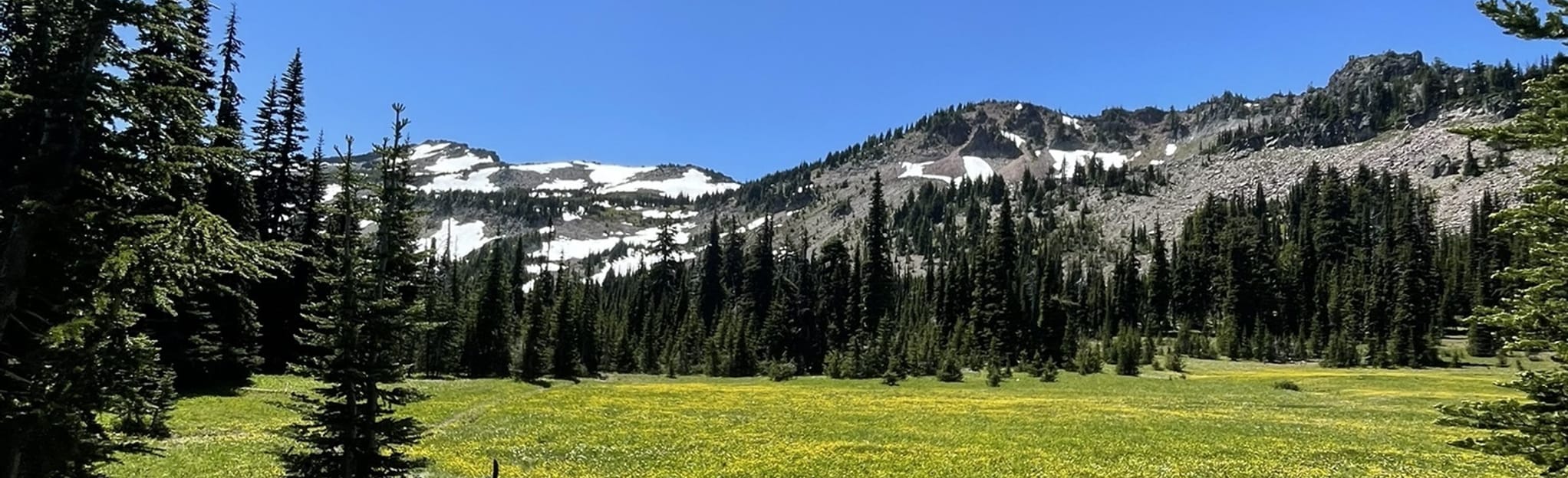 Bear Creek Mountain Trail 8 Reviews, Map Washington AllTrails