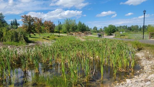 Best Hikes and Trails in Olds College Botanic Gardens and Treatment ...