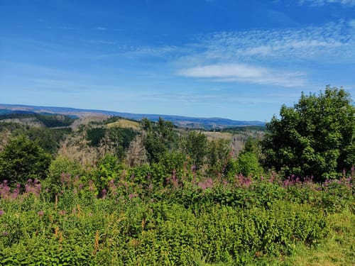Von Bad Sachsa zum Ravensberg