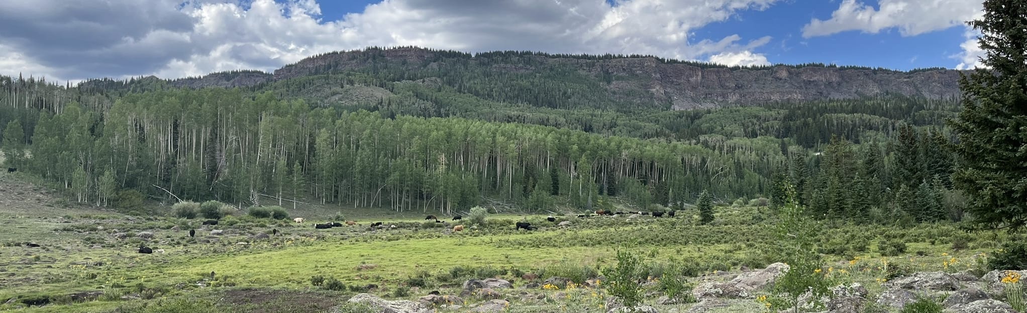 Deer Creek Lake to Chriss Lake Loop Trail Utah AllTrails