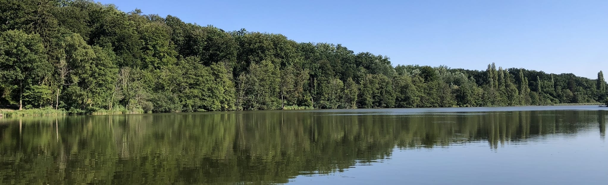 Discovery of the forests of Compiègne and Laigue and their mountains ...