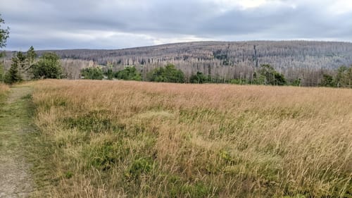St. Andreasberg - Oderteich