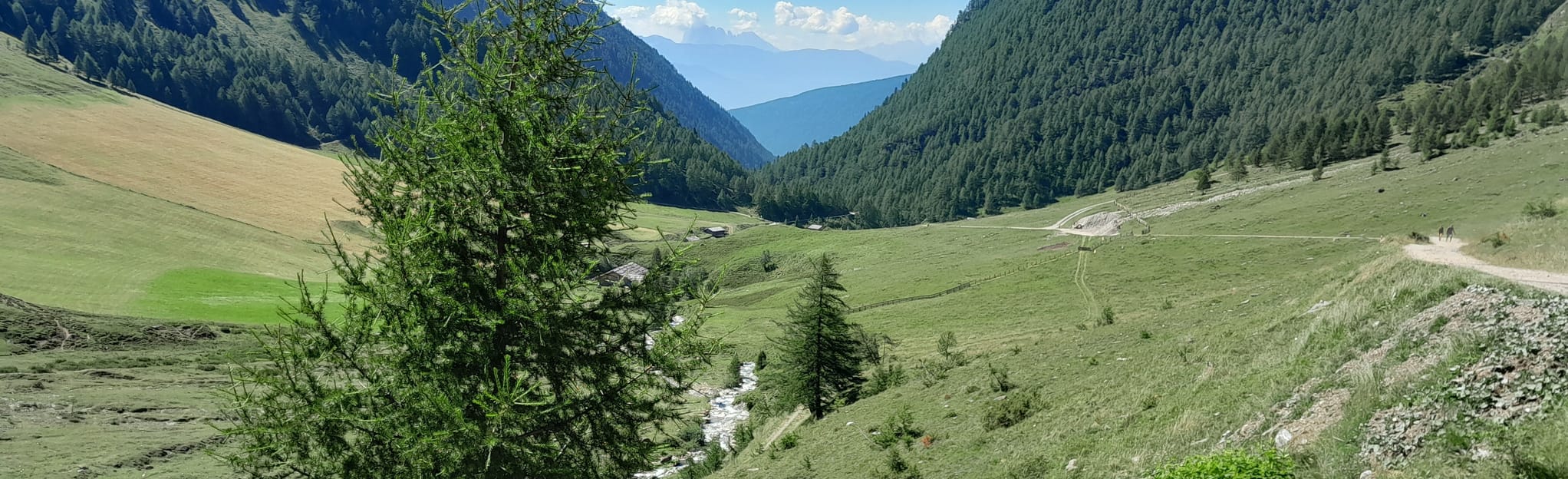 Valles Forcella di Rena Fossa Trues, South Tyrol, Italy Map