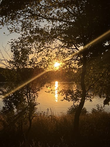 Rund um den Tweelbäker See