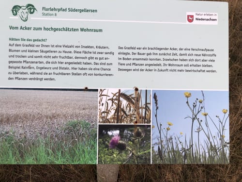 Flurlehrpfad Südergellersen