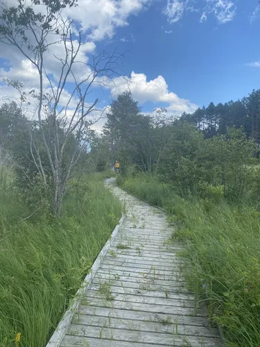 Best Hikes and Trails in Seney National Wildlife Refuge | AllTrails