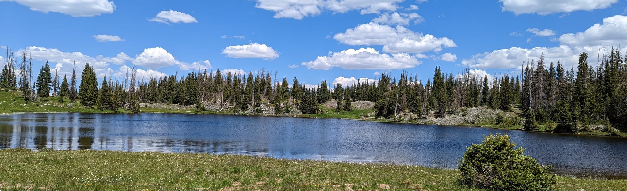 Browns Peak Loop in Snowy Range 239 Reviews, Map Wyoming AllTrails
