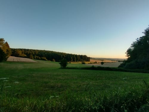 Buchenauerhof - Burg Steinsberg