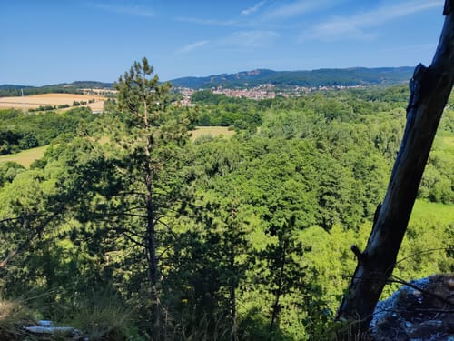 Von Walkenried zur Burg Sachsenstein