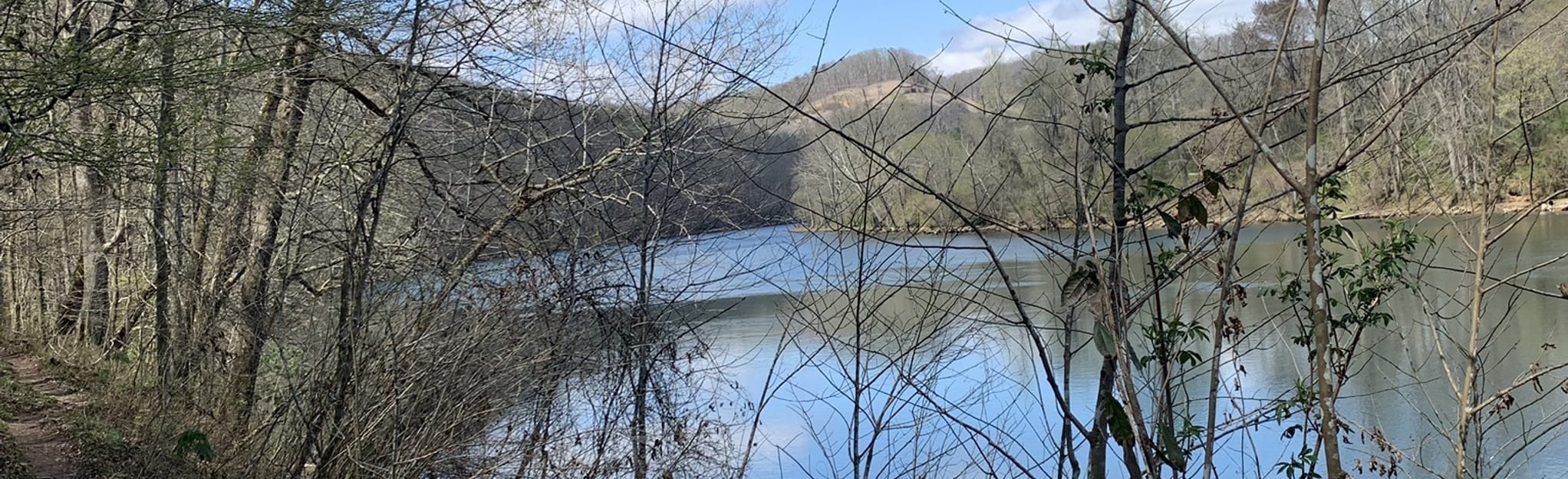 River Bluff Trail, Tennessee 532 Reviews, Map AllTrails