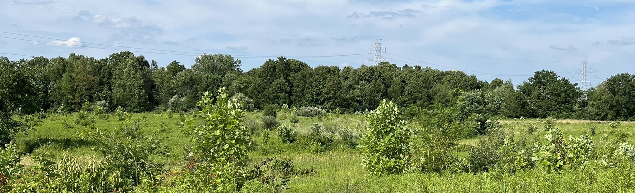 Meadowbrook Nature Preserve Loop 227 Reviews, Map Indiana AllTrails