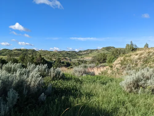 Denbigh Experimental Forest Trail, North Dakota - 74 Reviews, Map