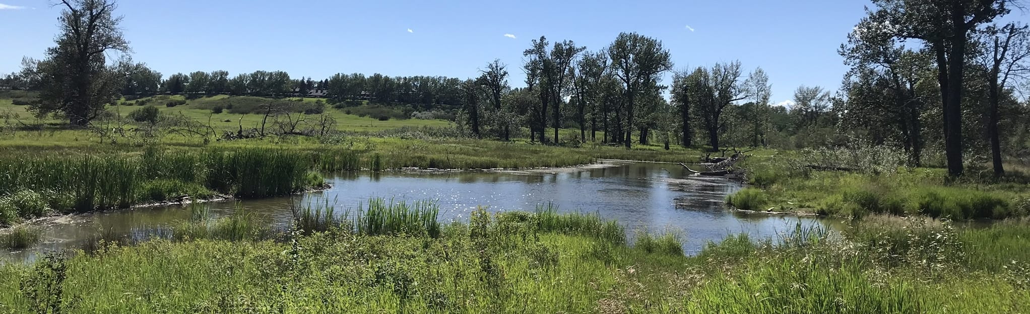 Fish Creek Big Loop 167 Reviews, Map Alberta, Canada AllTrails