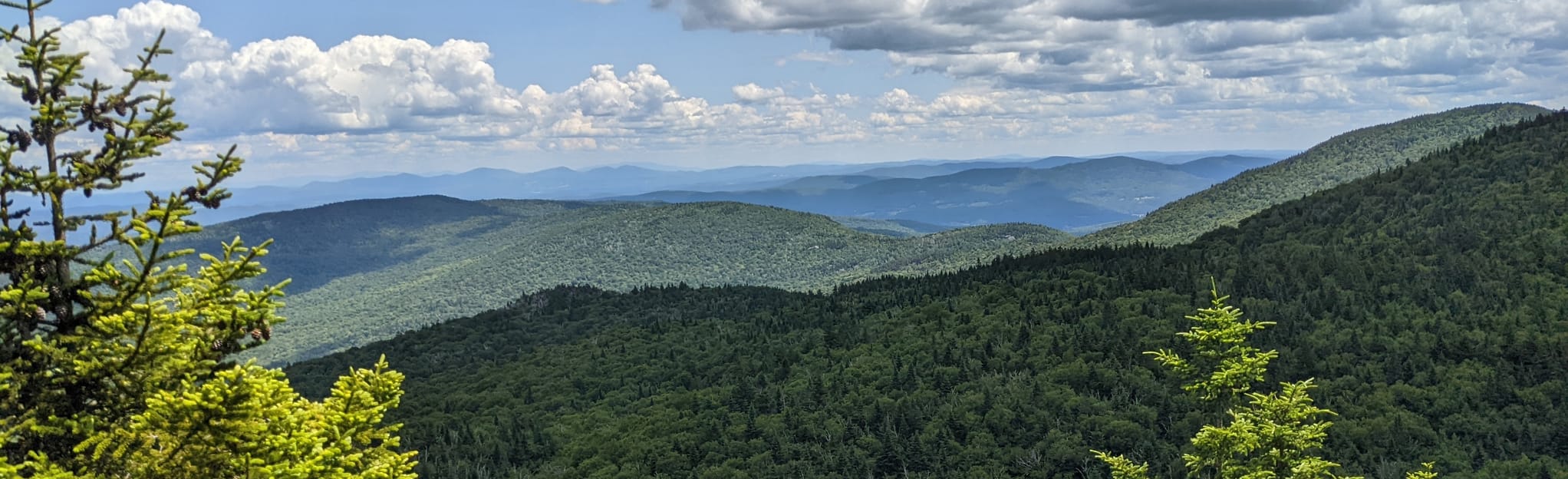 Camel's Hump via Long Trail Loop: 452 Reviews, Map - Vermont | AllTrails