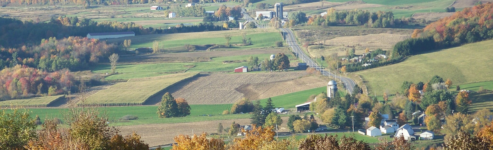 Three Springs State Forest Trail, New York 7 Reviews, Map AllTrails