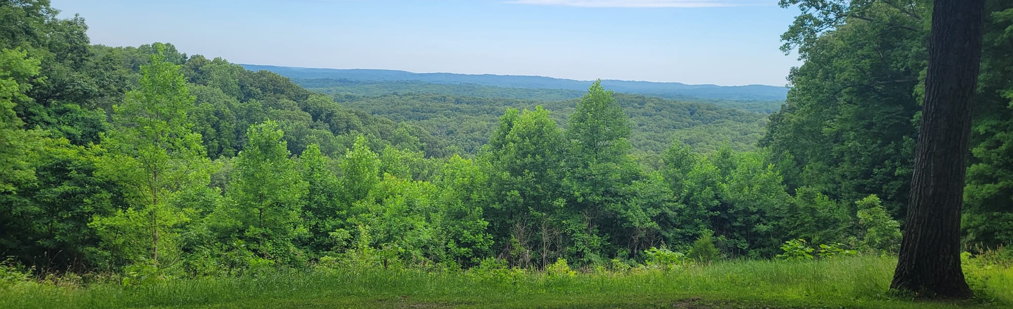 Trail 8 Loop to Hesitation Point - EyJidWNrZXQiOiJhc3NldHMuYWxsdHJhaWxzLmNvbSIsImtleSI6InVwbG9hZHMvcGhvdG8vaW1hZ2UvNDk3MjI4NjQvMThlYzBhMzZlZmE3OWJkOWE1MDIzMGE5ZTY4YmZkMzYuanBnIiwiZWRpdHMiOnsidG9Gb3JtYXQiOiJqcGVnIiwicmVzaXplIjp7IndpZHRoIjoyMDQ0LCJoZWlnaHQiOjYyNCwiZml0IjoiY292ZXIifSwicm90YXRlIjpudWxsLCJqcGVnIjp7InRyZWxsaXNRdWFudGlzYXRpb24iOnRydWUsIm92ZXJzaG9vdERlcmluZ2luZyI6dHJ1ZSwib3B0aW1pc2VTY2FucyI6dHJ1ZSwicXVhbnRpc2F0aW9uVGFibGUiOjN9fX0=