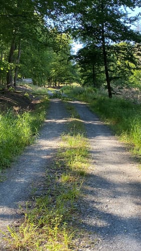 Bockstall Rundwanderweg A4
