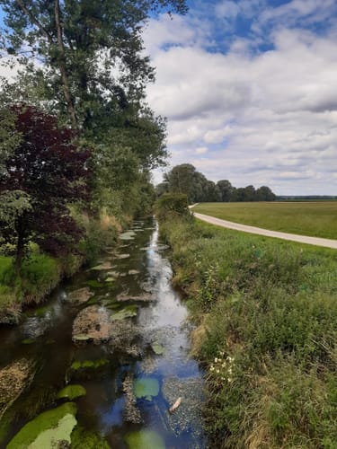 Grafing nach Aßling