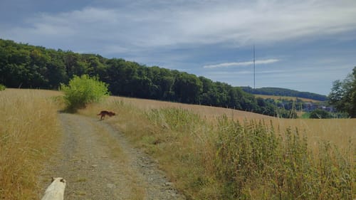 Hölterberg - Wanderweg A2