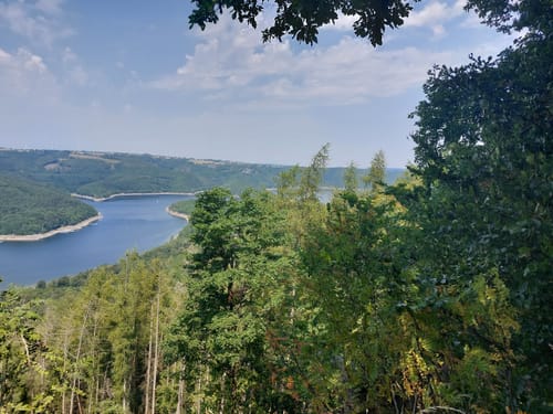 Wilder Kermeter - Urftsee - Hirschley
