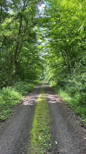 Von Bad Sobernheim rund um den Schlossgraben