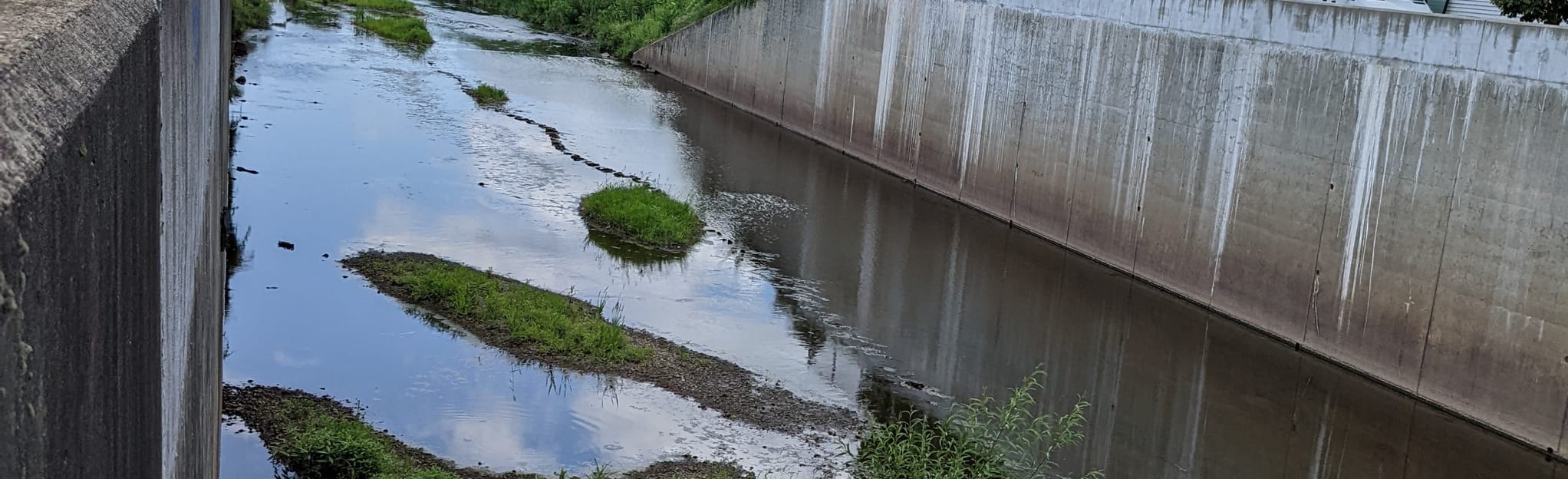 Trout Brook Trail, Connecticut 52 Reviews, Map AllTrails