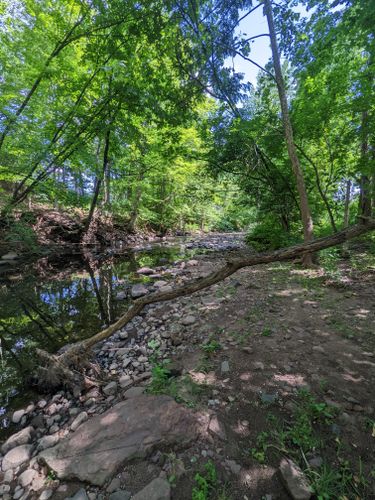 Best Hikes and Trails in Beachland Park | AllTrails