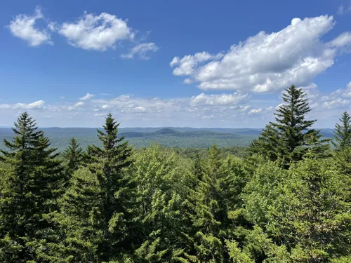 10 Best Trails and Hikes in Old Forge | AllTrails