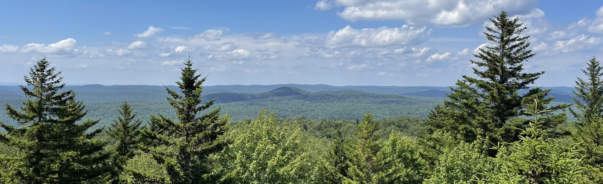 Woodhull Mountain Trail, New York 167 Reviews, Map AllTrails