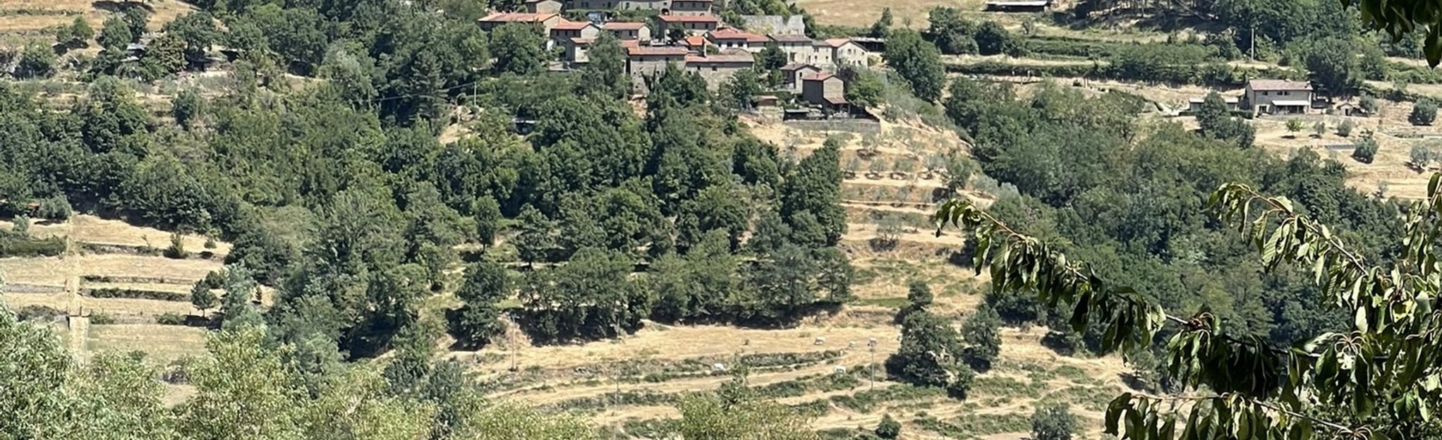 Via Di Francesco Firenze La Verna 16 Reviews Map Tuscany Italy 