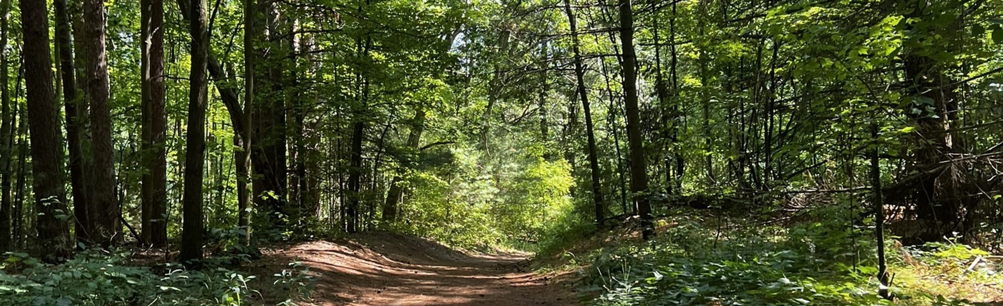 Proud Lake Campground Trail and Hickory Glen Connector: 68 Reviews, Map ...