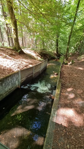 Von Verl durch den Holter Wald