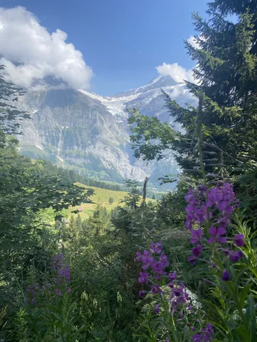 What's the best hiking base in Switzerland? (my top 5 choices) - Stars &  Wildflowers