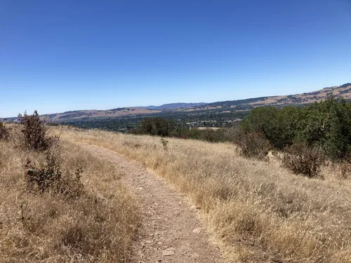 Sonoma Overlook Trail, California - 952 Reviews, Map