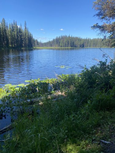 Best Hikes and Trails in Kager Lake Recreation Site | AllTrails