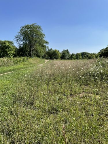 metroparks mountain biking area