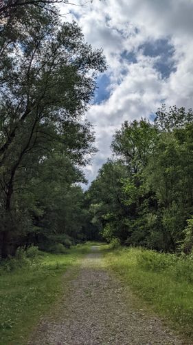 are dogs allowed at birdsong nature trails orchard park