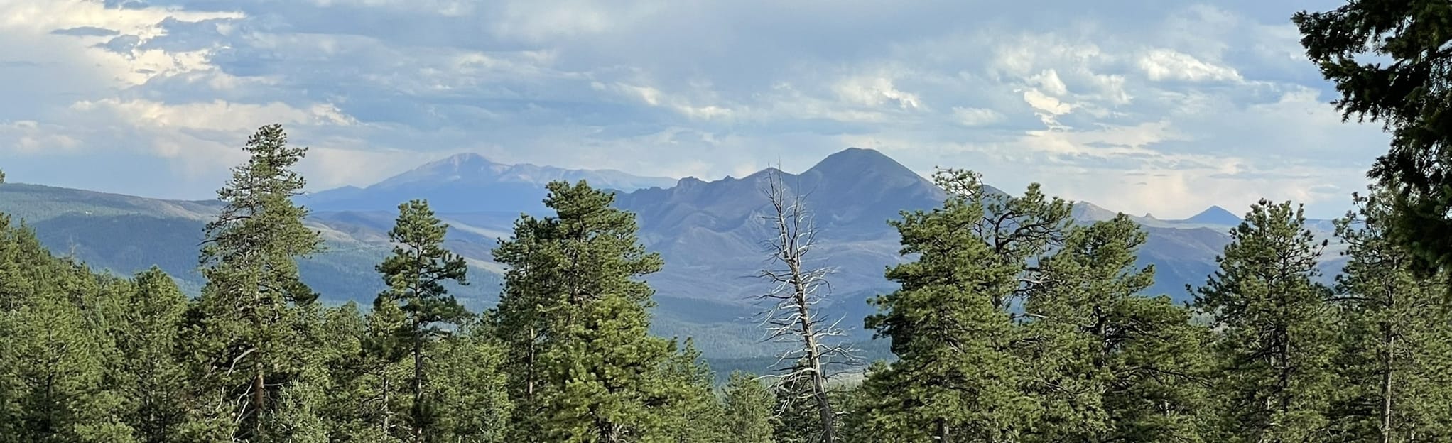 Long Scraggy Peak: 156 Reviews, Map - Colorado | AllTrails