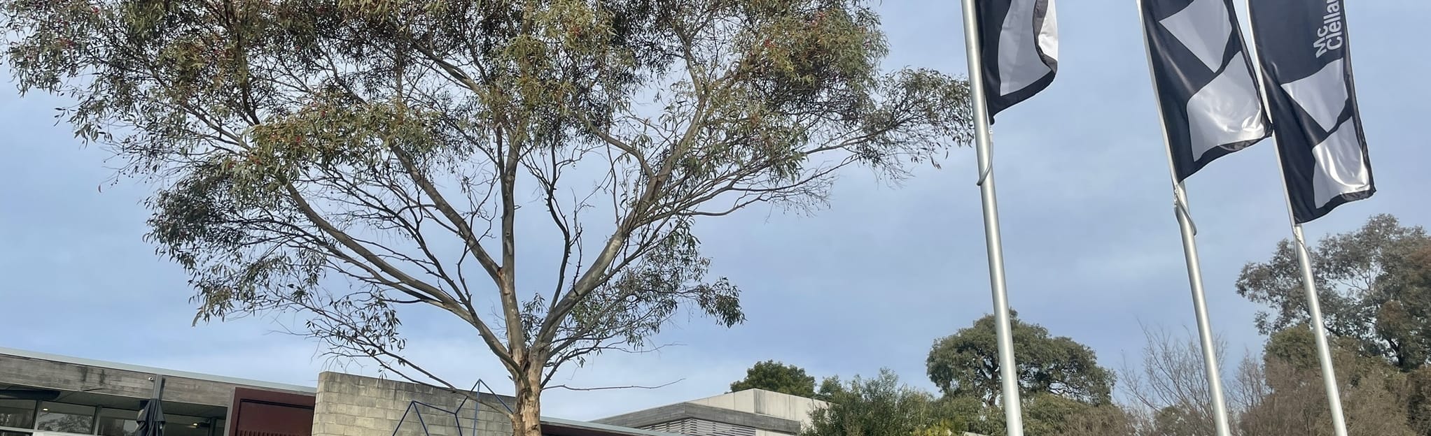 McClelland Sculpture Park, Victoria, Australia 7 Reviews, Map AllTrails