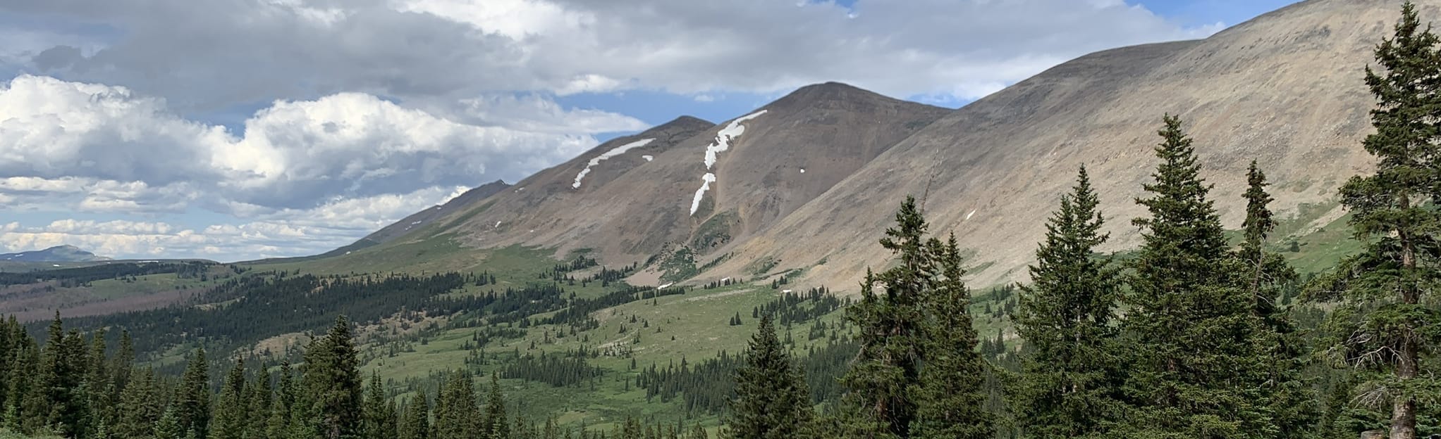 Mosquito Pass, South London Mine, and Birdseye Gulch OHV Trail 29