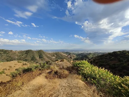 Trails in Griffith Park, Los Angeles, California, United States 49788398 | AllTrails.com