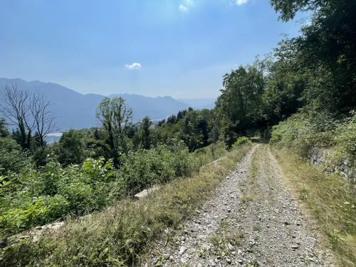 As melhores trilhas em Villa Santina, Friuli Venezia Giulia (Itália)
