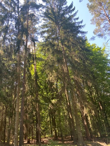 Radrundweg Kulmbach KU9