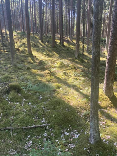 Radrundweg Kulmbach KU9