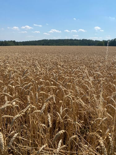 Radrundweg Kulmbach KU9