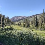 Tahoe Meadows Interpretive Loop, Nevada - 371 Reviews, Map | AllTrails