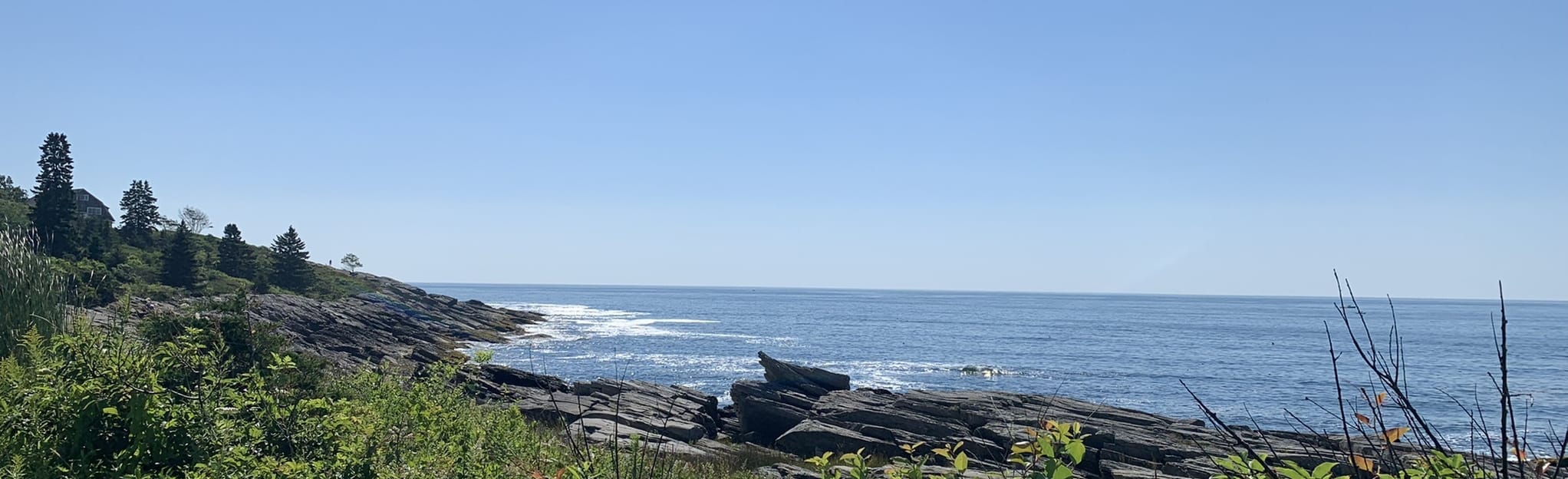 Prout’s Neck Cliff Walk 325 Reviews, Map Maine AllTrails