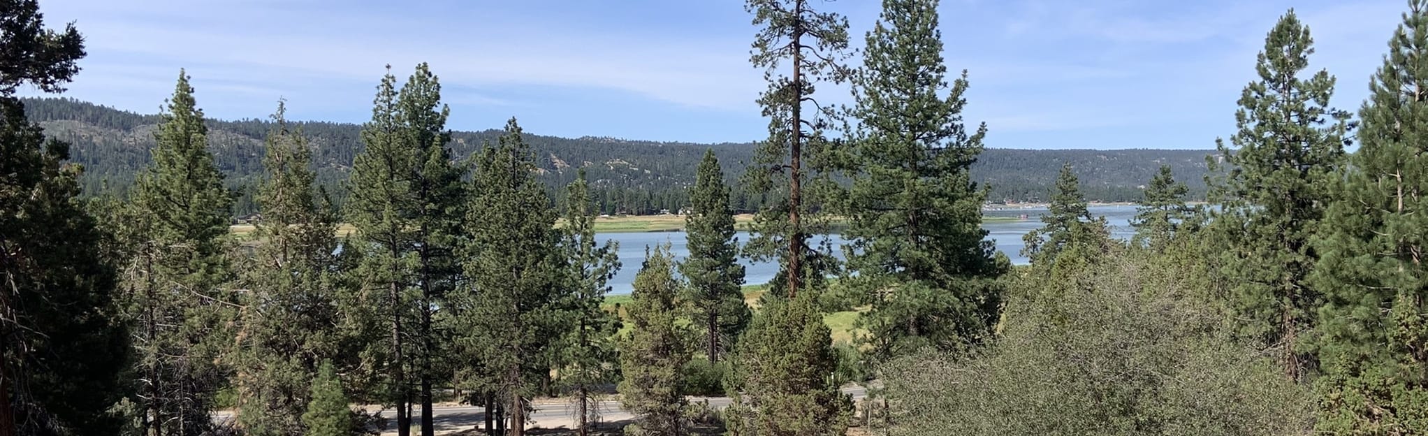 Bear Lake Woodland Trail 3036 Reviews, Map California AllTrails