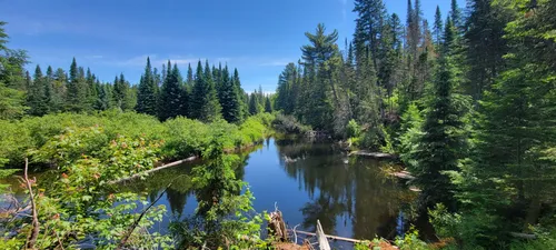 algonquin bike trail